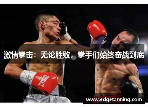 激情拳击：无论胜败，拳手们始终奋战到底